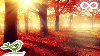 Beautiful Romantic Music Relaxing Music Piano Music Violin Music Guitar Music Sleep Music ★101 [upl. by Simmons]