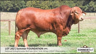 Lot 202  Sommer Foundation PP [upl. by Sophie]