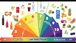 Acidic Foods vs Alkaline Foods [upl. by Glarum]