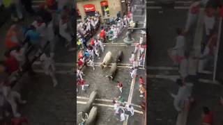 Are you ready Book via WhatsApp 34 629661604 pamplona sanfermin runningofthebulls spain [upl. by Borreri449]