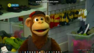 Milkshake Monkey At The Shoe Shop [upl. by Rosalie107]