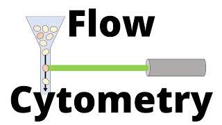 FLOW CYTOMETRY in 1 minute [upl. by Tadeas]