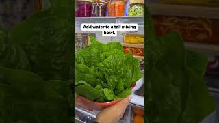 New way to store romaine lettuce in your fridge [upl. by Ynafets]