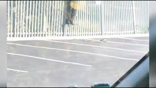 Police officer stuck on a fence in UK [upl. by Sillert98]