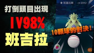 頭目戰出現IV98班吉拉Tyranitarpokemon go20170629 [upl. by Niwle]