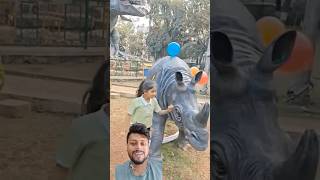 wait for end 😂🤣😎 animals funny comedy cute dance entertainment cuteanimal ytshorts [upl. by Alacim]