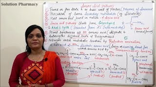 Class 07 Amino Acid Pathway Part 01  Introduction Reductive amination and Transamination [upl. by Alphonsine]