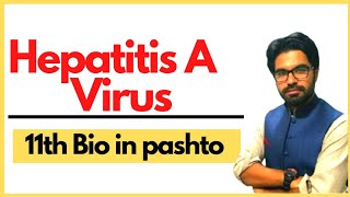 Hepatitis A  Viral diseases  11th biology in pashto [upl. by Ahtar209]