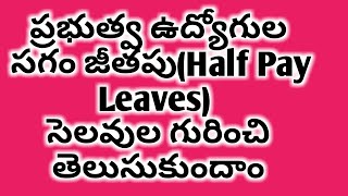 ప్రభుత్వ ఉద్యోగుల సగం జీతపు సెలవుల Half Pay Leavesగురించి తెలుసుకుందాం [upl. by Nesnej]