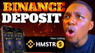 Hamster Kombat Binance HMSTR Token is Successfully Deposited HMSTR Launchpool Profit [upl. by Arrio605]