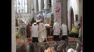 Enniscorthy Procession St Aidans Cathedral 05062013 [upl. by Jason]