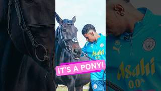 😍😍😍 Savinho is absolutely obsessed with ponies 🐴 mancity savinho horse [upl. by Sulamith]