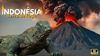 Indonésia Terra de Fogo documentary wildlife jungle volcano [upl. by Alisan]