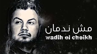 Wadih El Cheikh  Mech Nedman  وديع الشيخ  مش ندمان [upl. by Redman]