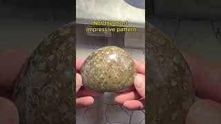 Polishing Ancient Fossilized Coral Petoskey Stone [upl. by Natrav]