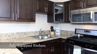 Loma Palisades  Apartments for Rent in San Diego California [upl. by Tare]