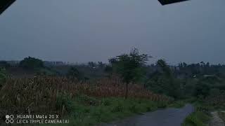 Morning rain in my village fridaymorning asmr rainsounds birdsounds [upl. by Shannen857]