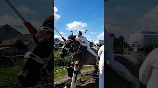 🐎 Ringrijden Aagtekerke Netherlands🇳🇱 TravelwithHugoF ringrijden aagtekerke horses [upl. by Llerret]