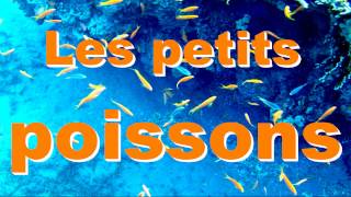 quotLes petits poissons dans leauquot Compitne artlyb25 [upl. by Auqenwahs]