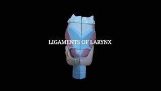 Ligaments of Larynx  Extrinsic amp Intrinsic ligaments [upl. by Acissej]