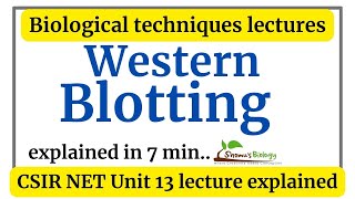 Western blotting technique animation  Western blotting principle procedure explained [upl. by Croteau180]