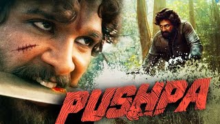 Pushpa Full Movie In Hindi Dubbed  Allu Arjun  Rashmika Mandana [upl. by Kalbli]