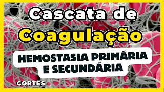 Cascatas de coagulação  Hemostasia Primária e Secundária Atualizado 2024 [upl. by Lyrehc479]