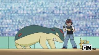 When Im Gone  Cyndaquil Quilava amp Typhlosion AMV HBD Lea [upl. by Synn]