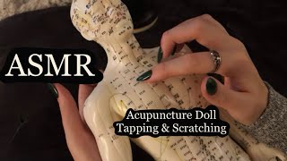 ASMR Gentle Tapping amp Scratching On An Acupuncture Doll No Talking [upl. by Yttocs]