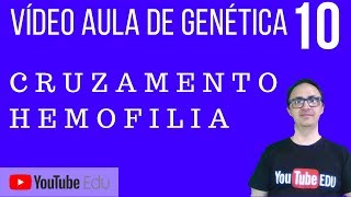 Vídeo Aula Genética 10  Cruzamento de Hemofilia [upl. by Boutis]