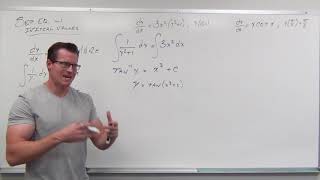 Separable Differential Equation introduction amp example [upl. by Aylmar]