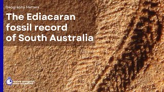 The significance of the Ediacaran fossil of South Australia for understanding animal life on Earth [upl. by Idalla]