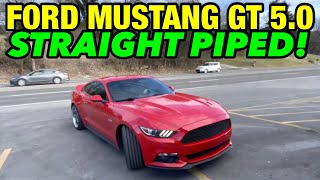 2015 Ford Mustang GT 50L V8 Dual Exhaust w X PIPE amp STRAIGHT PIPE [upl. by Odnomyar626]