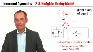 CNS23  HodgkinHuxley Model [upl. by Miehar661]