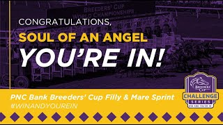 2024 Princess Rooney Invitational Stakes Soul Of An Angel [upl. by Sibelle176]