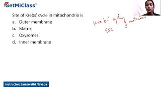 Site of krebs cycle  KCET 11th Biology Respiration in Plants [upl. by Cargian]