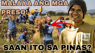 MERON PALA KULUNGAN SA PILIPINAS NA MALAYA ANG MGA PRESO KASAMA ANG PAMILYA WALANG PADER [upl. by Harias647]