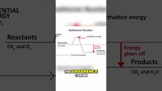 Unlocking the Secrets of Exothermic and Endothermic Reactions [upl. by Ashbey365]