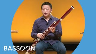 Guide to the Orchestra Bassoon [upl. by Aileme]