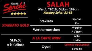 Salah v Stakkato Gold  A la Carte NRW  Cornet Obolensky  Pilot [upl. by Kippy]