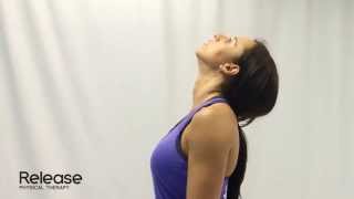 Cervical Spine Retraction amp Extension  McKenzie Exercise for Neck [upl. by Gschu85]