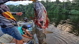 ESSE LUGAR TEM TANTO PEIXE QUE UM COME O OUTRO Pescaria de trairão [upl. by Koss]