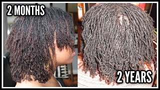 3 Years Later ⇢ What NO ONE told me about BRAID LOCS What to Expect  Desiree Marie [upl. by Terbecki]