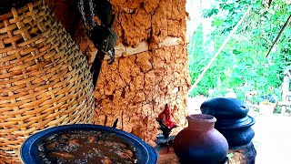 ඇබරැල්ල කරිය දකුණේ ක්‍රමයට හදමු 😋 ambarella curry sinhala recipes by gami sara [upl. by Amalee909]