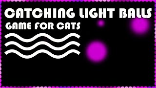 CAT GAMES  Laser Cat Toy VIDEO FOR CATS  Catching Pink Ball [upl. by Boak]