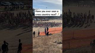 Cross Country Stampede 🏁 crosscountry d1 d1runner running race trackandfield riverside [upl. by Dayiz]