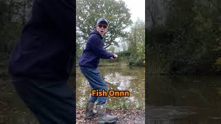 Carp Fishing on the Pole shorts fishing fyp carp carpfishing polefishing [upl. by Elylrac]