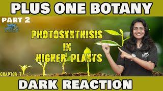 PLUS ONE  BOTANY  CHAPTER 7  PHOTOSYNTHESIS IN HIGHER PLANTS  DARK REACTION  PART 2 [upl. by Adhern553]