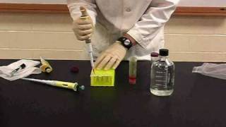 Protein Methods 2010  Dilutions with Chromophores no audio [upl. by Walcoff376]