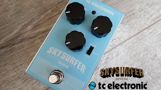 TC Electronic  Skysurfer reverb [upl. by Inanuah]